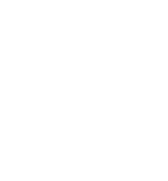 SINS_logo_wit_250px
